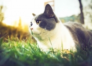 开云体育登录-数据登顶，潜艇拔锚，一场空前绝后的凯塞多之夜