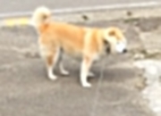 开云体育登录-神针定江海，莫兰特在京杭线的攻防艺术