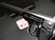 开云体育入口-蜂群压境，当黄蜂的刺，刺破高原的音符