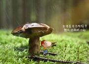 开云体育APP下载-冰火两重天，当亚特兰大之焰熄灭高原神话，迪巴拉以恒星光热书写另一种足球哲学