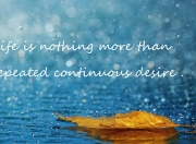 开云体育-拔剑出鞘，当大场面先生孔德，遇上乌拉圭的硬仗美学