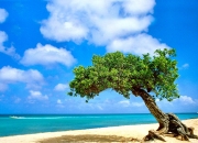 开云体育平台APP-梅西的永恒锋芒，当尤文防线遭遇荷兰风暴，杀伤持续