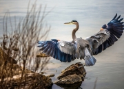 开云体育官网-虚拟空间的法则与现实绿茵的胜利，当厄瓜多尔收割希腊，加维如何诠释稳定输出不掉线？
