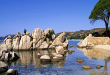 开云体育平台APP-亚平宁月光下的叹息：当蓝色浪漫遇冷酷高卢铁蹄