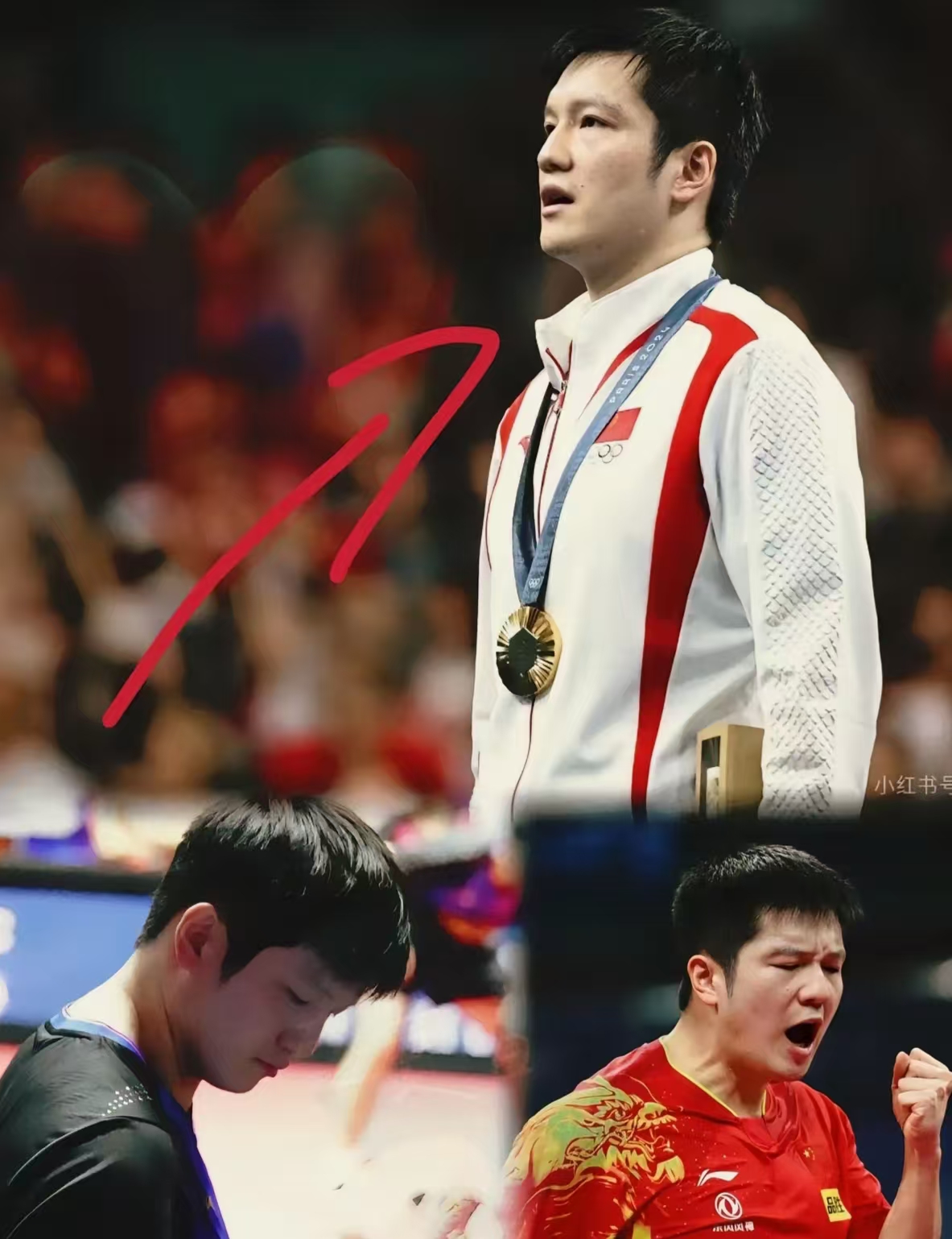 瑞典队轻取中国队,樊振东状态火热的简单介绍 瑞典队轻取中国队,樊振东状态火热的简单介绍