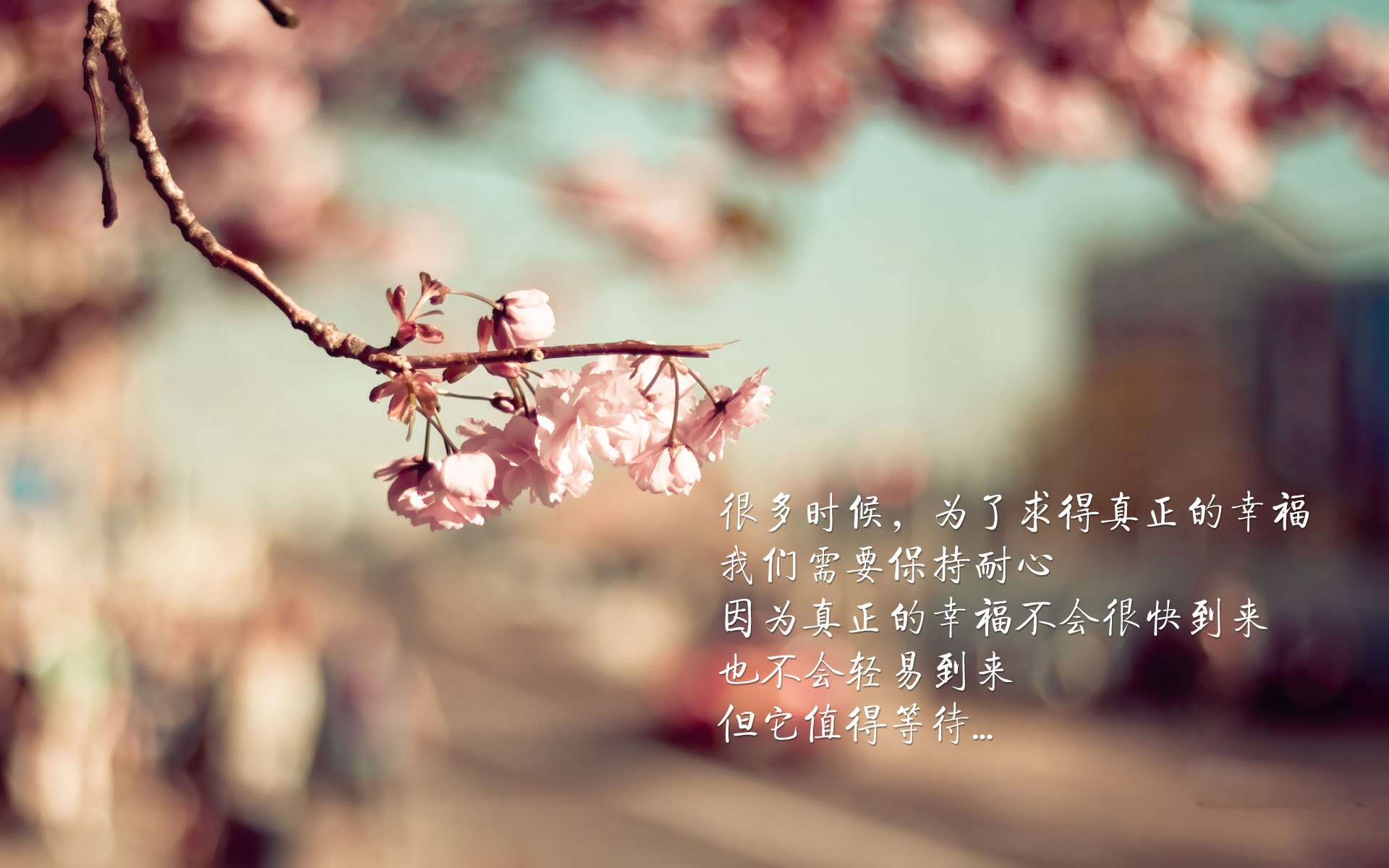 终极审判,京多安终将刺破幻梦,祭奠那一代不曾盛开的玫瑰