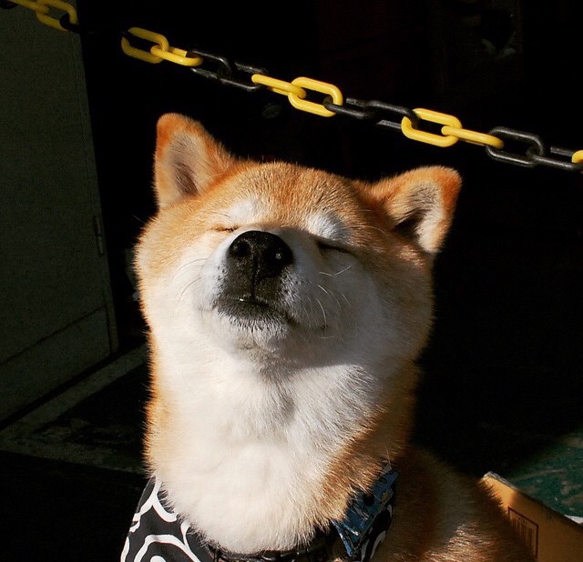 布鲁克林铁骑踏碎孟菲斯壁垒,英格拉姆一锤定音改写格局