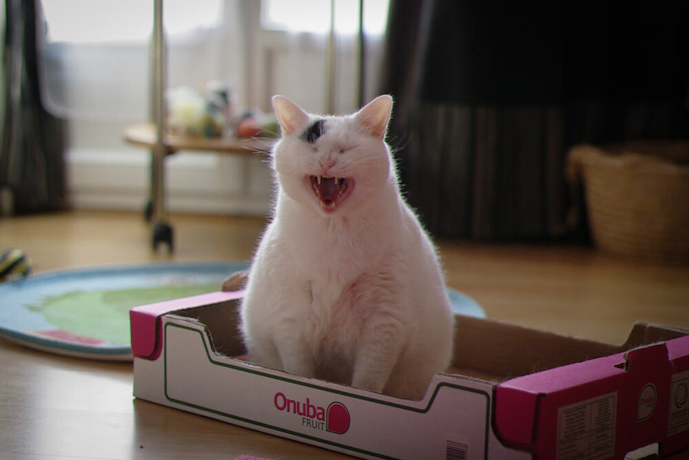 绿茵双面镜,几内亚逆袭曼城之夜与内马尔不朽的足迹