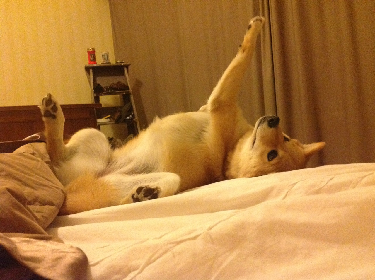 当贝林厄姆式的个体闪电,劈进塞维利亚式的体系荆棘丛