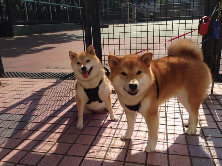 天山对决!乔治加时赛一剑封喉,火箭鏖战险胜新疆
