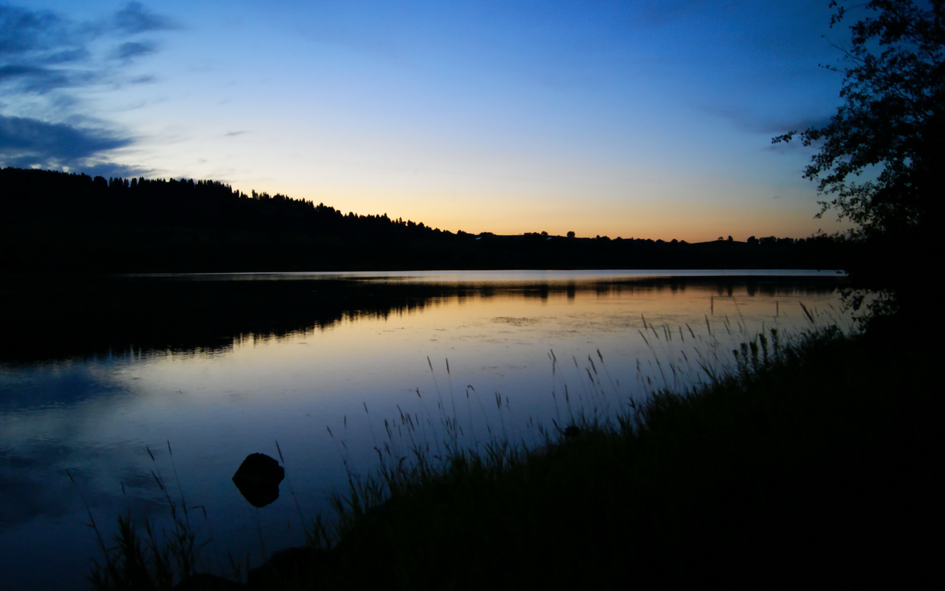 致命一击!卡拉斯科补时绝杀,AC米兰惊险逆转里昂
