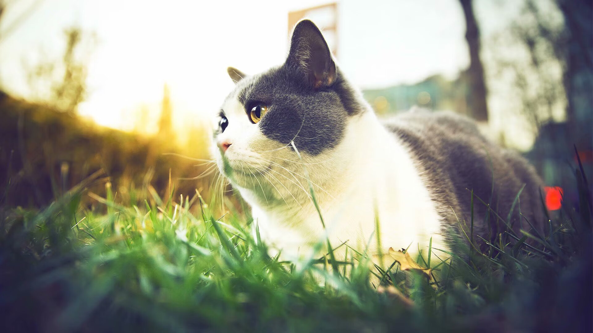 数据登顶,潜艇拔锚,一场空前绝后的凯塞多之夜