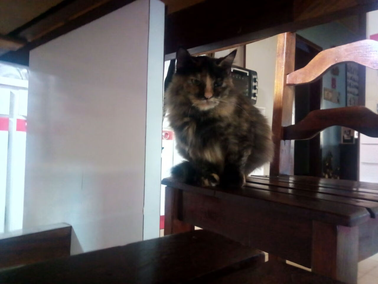 库里进攻端无敌神话,掘金跨洋制霸山西队,一场篮球世界的奇幻对话