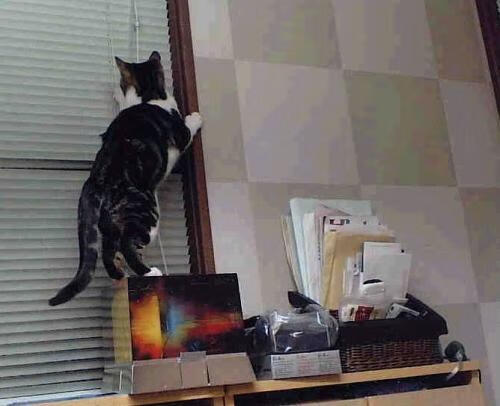 王牌与王牌的对决,尼克斯的绞杀术与米切尔的冰与火之歌