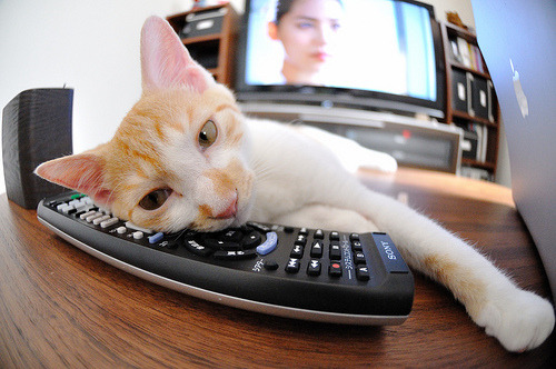 足球地理的错位奇观，当南非主场迎来伊拉克，阿根廷的劳塔罗为何统治了数据？