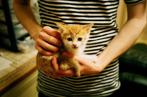 唯一性,克瓦拉茨赫利亚的幽灵一击,如何让葡萄牙在巅峰对决中胜出澳大利亚