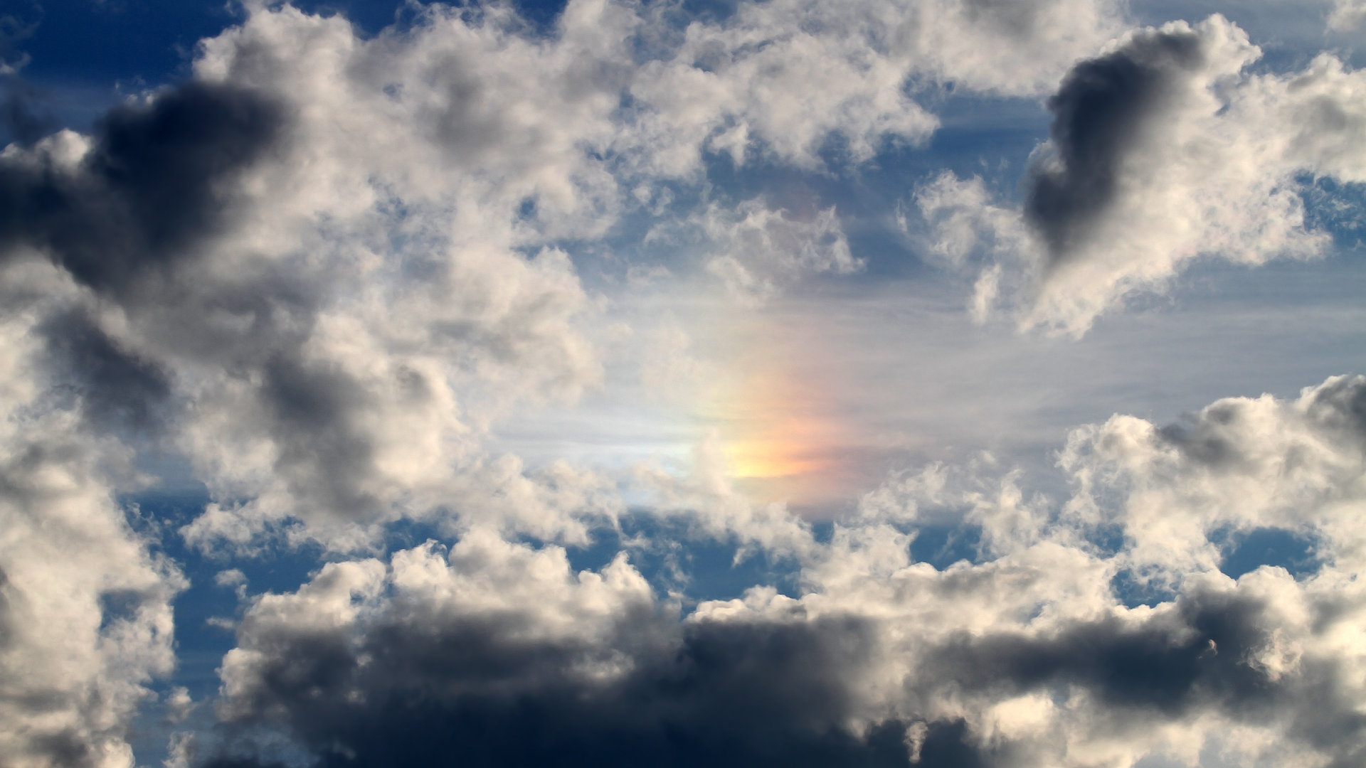 绽放，山西的团队图腾与芝加哥的个人史诗