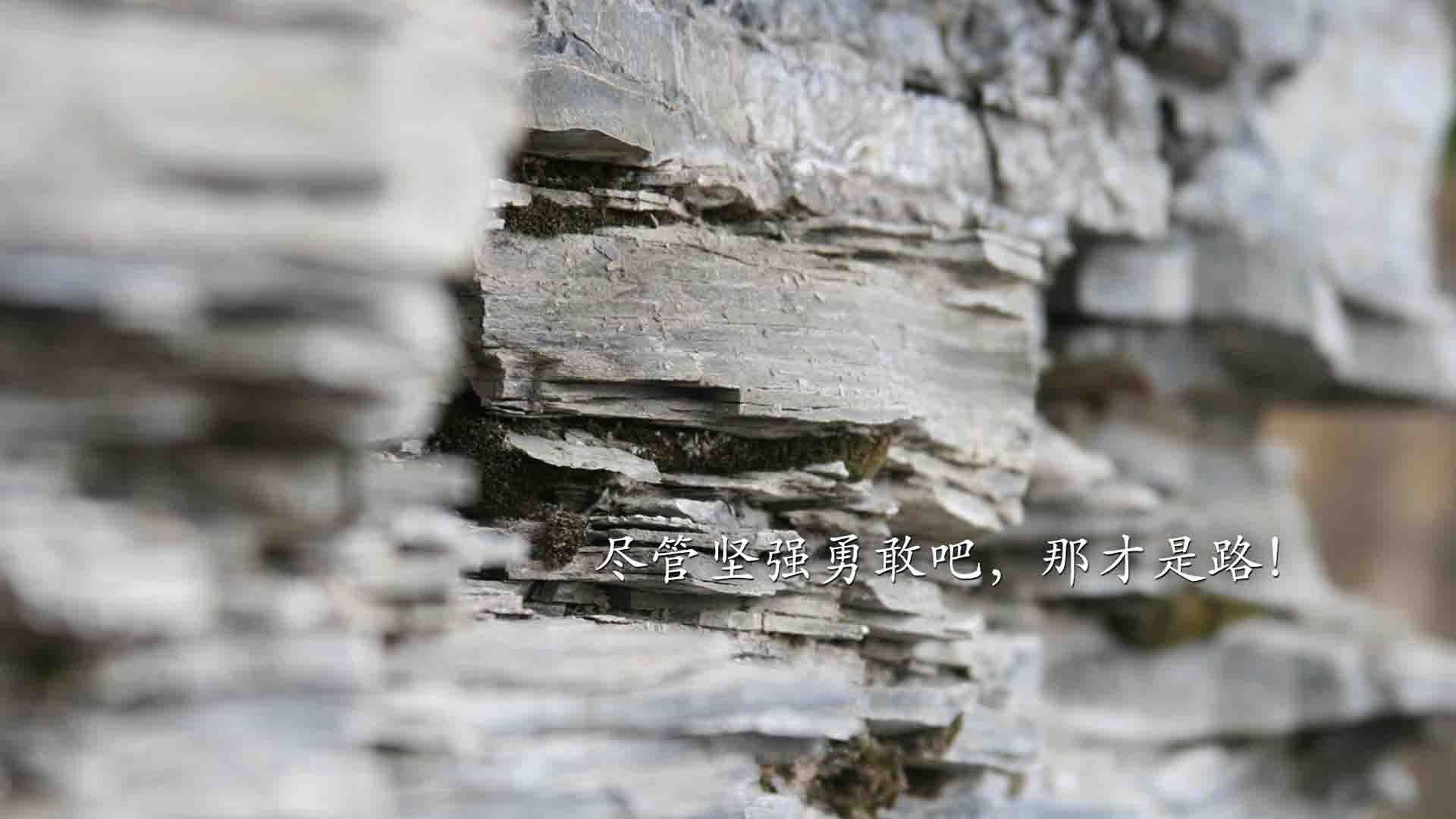 蓝黄风暴席卷沙漠,德容调度下的厄瓜多尔,用默契碾压澳大利亚,锁定A组头名